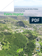 Paleta Vegetal Mpo. Pachuca