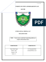 International Criminal Law