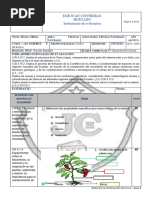 Evaluación Diagnóstica CCNN 2023 - 2024