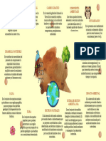 Mapa Mental de Conceptos Ambientales Paula Gomez