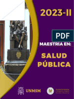 Maestria en Salud Publica