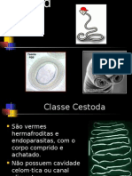 Cestoda