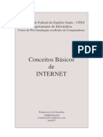 Conceitos Básicos de Internet