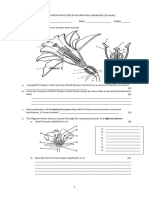 Grade 10 Biology Pollination Classwork