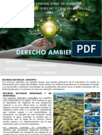 Derecho Ambiental Leccion Vi Recursos