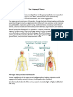 Daily Exercises To Strengthen The Vagus Nerve For Anxiety