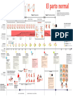 Infografia Del Parto Normal