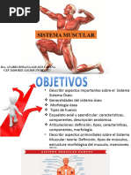 5 - Musculos