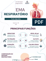 Aula 6 - Sistema Respiratório