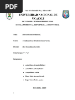 Trabajo de Investigacion - Fermentacion de Alimentos