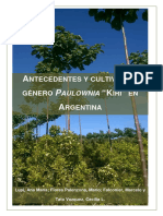 Cultivo Del Genero Paulownia KIRI en Argentina