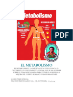 El Metabolismo