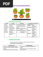 Udi 3 Plantas-Plants