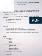 Conduite À Tenir Devant Une Hémorragie Du 1er Trimestre