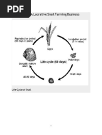 Snailfarming