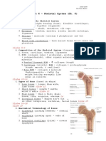 Skeletal System-Lecture Notes