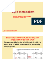 2.2. Digestion, Absorption, Secretion, and Utilization of Dietary Lipids