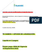 PDF Adjunto