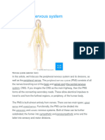 Peripheral Nervous System