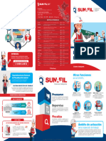 Triptico El Rol de La Sunafil
