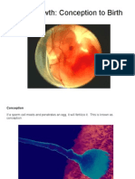 Fetal Growth: Conception To Birth