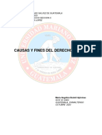 Fines Del Derecho