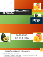 Tamaño de Planta