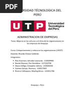 Trabajo Final, Aceros Arequipa, Comportamiento y Cultura en Las Organizaciones