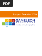 Rapport Financier 2020