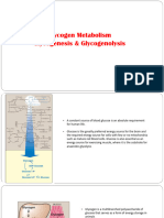 10-Glycogen Metabolism