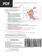 Principes Généraux de La Kinésithérapie 4 (Le Muscle)