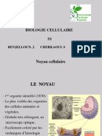 COURS BC 4 - Noyau