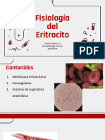 Clase 3. Fisiología Del Eritrocito