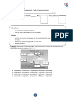 5° Diagnóstico - 2022