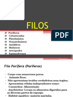 Características de Cada Filo