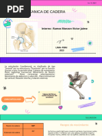 Biomecanica de Cadera