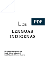 Lenguas Indigenas: Ricardo Olivares Cabrera 3ro D Metería:Español Sec 97 Luis H. Álvarez Álvarez