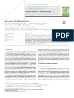 Macrophage M1 M2 Polarization