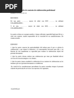 Modelo de Contrato de Colaboración Profesional