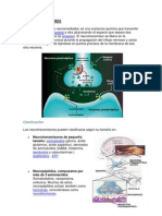 NEUROTRANSMISORES