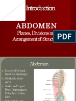 Introduction Abdomen DR 130818235819 Phpapp02