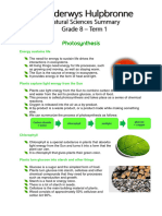 Grade 8 Term 1 Natural Science Summary Ubmcrj