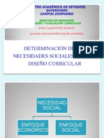 Necesidades Sociales