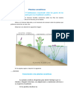 Plani 1 - Plantas Acuáticas