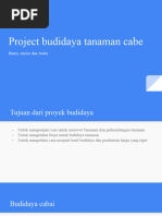 Project Budidaya Tanaman Cabe