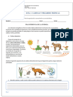 Guía 3 Cadenas y Piramides Tróficas.