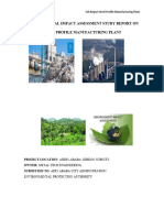 Environmental Assessment For Steel