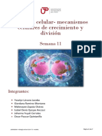 Informe de Laboratorio