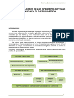 Adaptaciones de Los Diferentes Sistemas Implicados en El Ejercicio Fisico