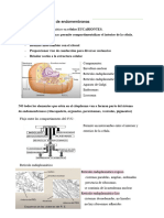 Sistema de Endomembranas CBC